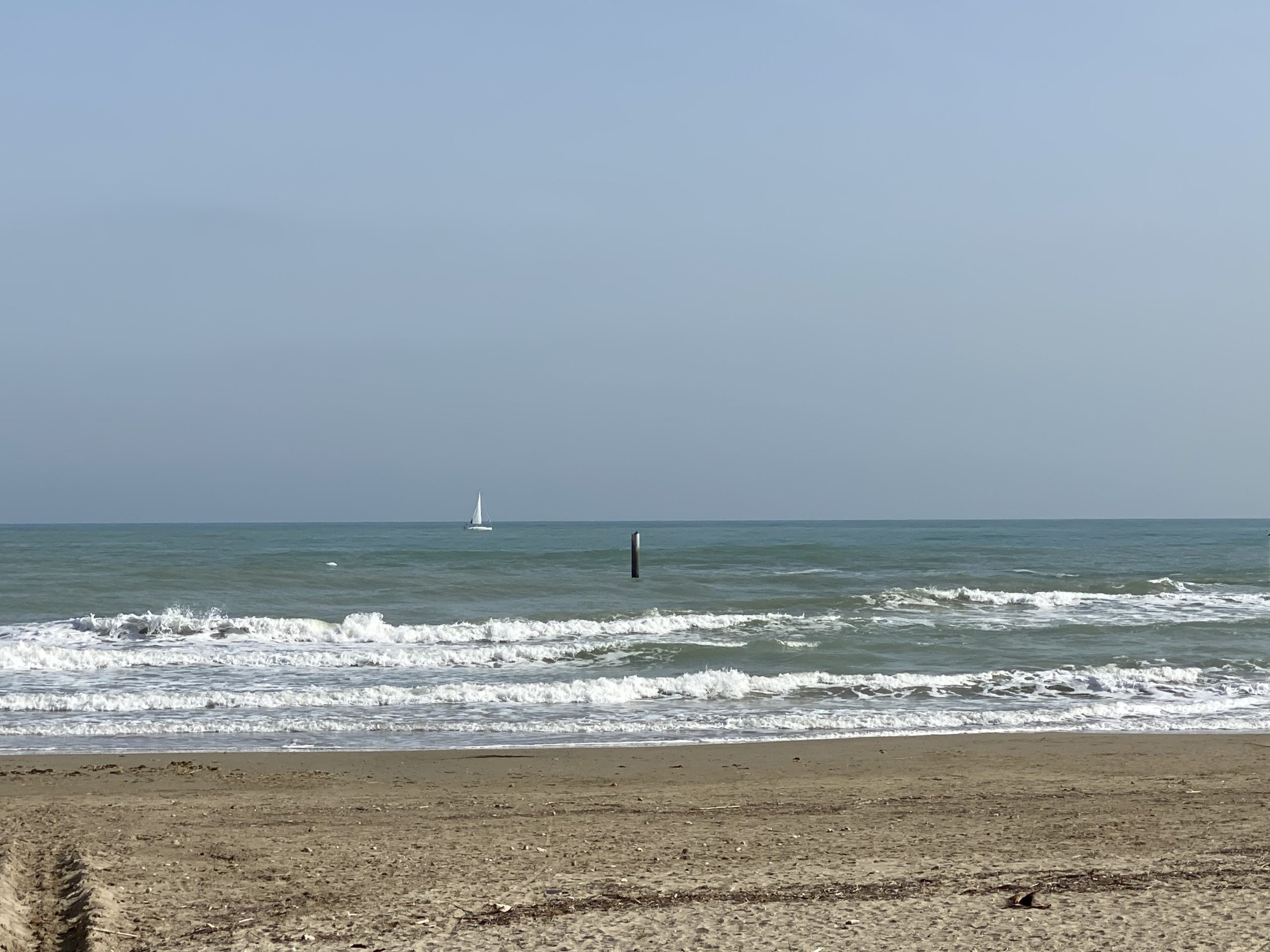 IMG_4456